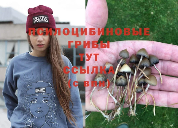 прущая мука Няндома