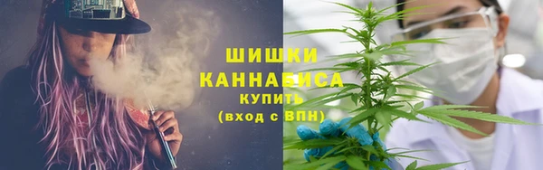 прущая мука Няндома