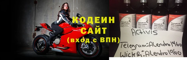 индика Нязепетровск