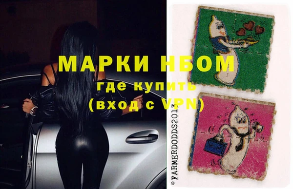 индика Нязепетровск