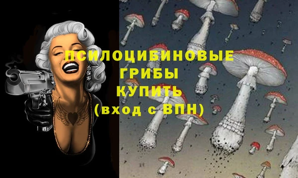 твердый Бутурлиновка