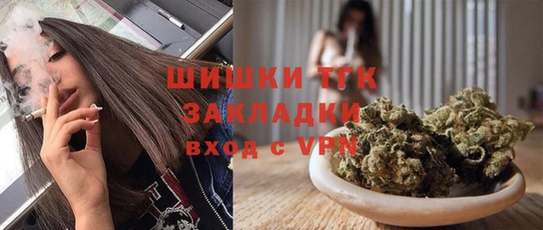 индика Нязепетровск