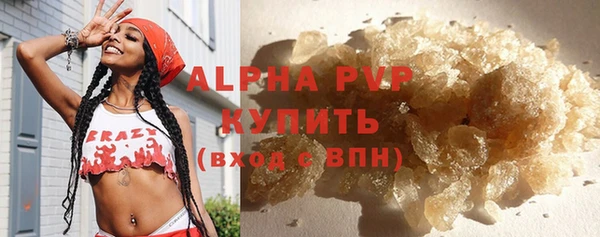 индика Нязепетровск