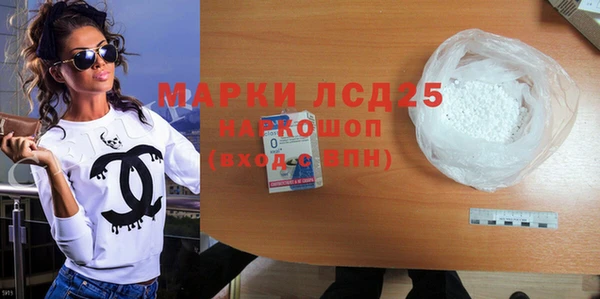 индика Нязепетровск