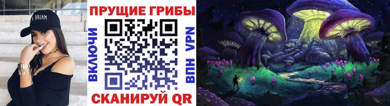 Псилоцибиновые грибы Psilocybe  где можно купить наркотик  Ковдор 